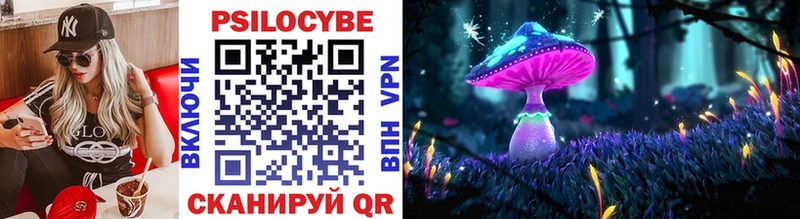 где продают   Ставрополь  Псилоцибиновые грибы Psilocybine cubensis 