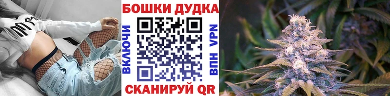 Канабис план  Ставрополь 